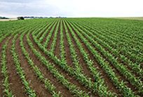 Precision Farming Precision Farming